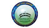 SmartPool Aquapill 79 Salt Cell Guard for 50,000 Gallons | AP79