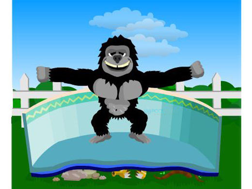 gorilla padding above ground pool