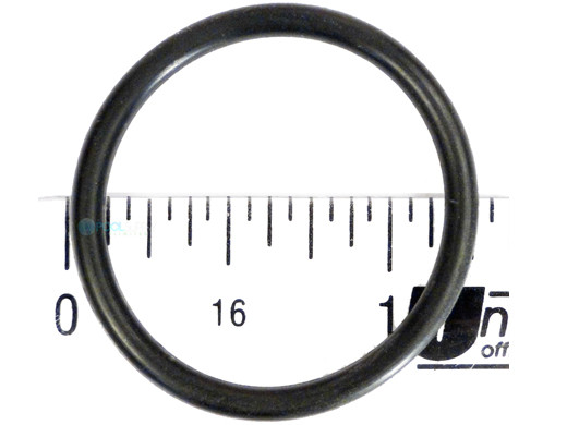 hayward filter lock ring