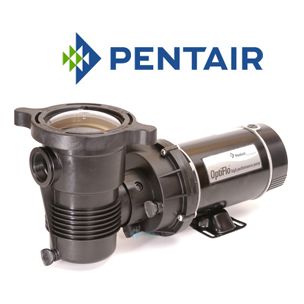 Pentair 340065 OptiFlo Vertical Discharge Aboveground Pool Pump Cord with Twist Lock Plugs 3/4 HP 