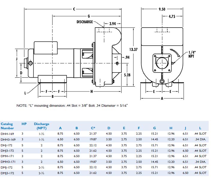 StaRite DSeries 5HP Standard Efficiency Single Phase Commercial Pool