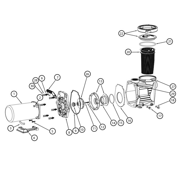 Waterway Champion 56-Frame 2HP Energy Efficient Full Rated Pool Pump 230V | CHAMPE-120 Parts Schematic