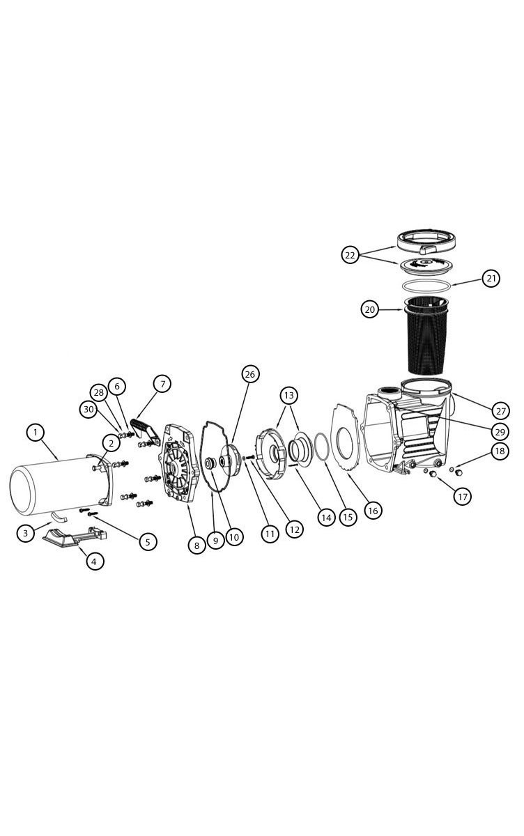 Waterway Champion 56-Frame 1HP Standard Efficiency Maximum Rated Pool Pump 115/230V | CHAMPS-110 Parts Schematic