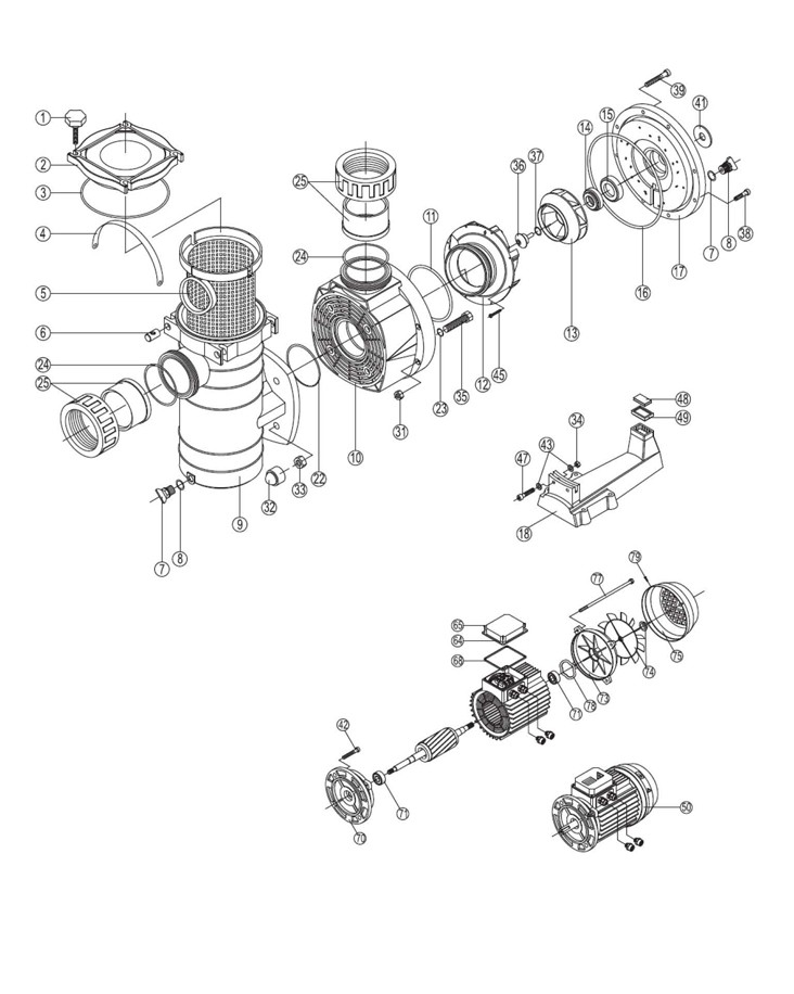 Hayward HCP Series Thermoplastic 3 Phase Commercial Pump | 7.5HP 230/460 | HCP75 Parts Schematic