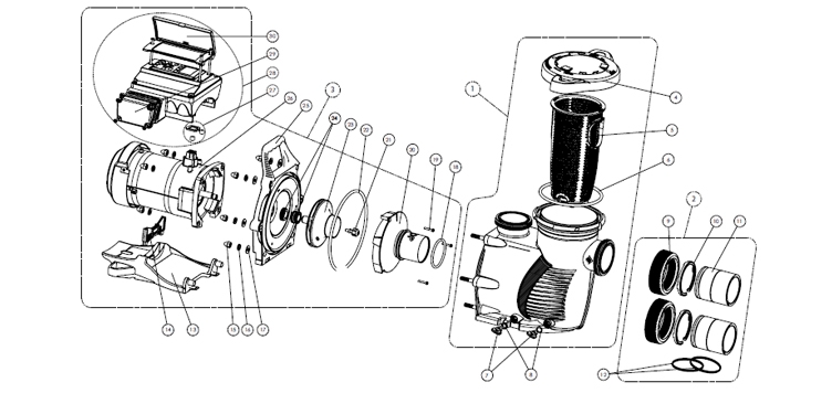 Pentair IntelliFlo XF High Performance Variable Speed Pump 3.2kW 3HP Max | 022005 Parts Schematic