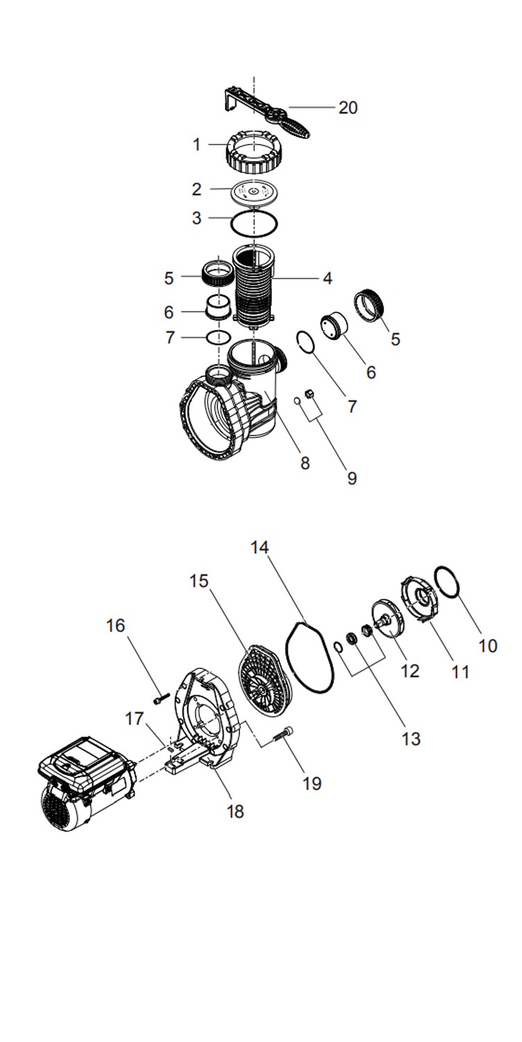 Raypak Variable Speed Pool Pump 1.65 THP | 208-230V | PS165VSP Parts Schematic