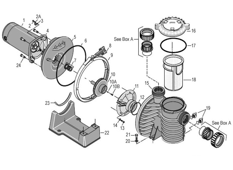 Sta-Rite Max-E-Pro 2HP High-Efficiency TEFC Super-Duty 3-Phase Pool/Spa Pump | 208-230/460 | 345078 Parts Schematic