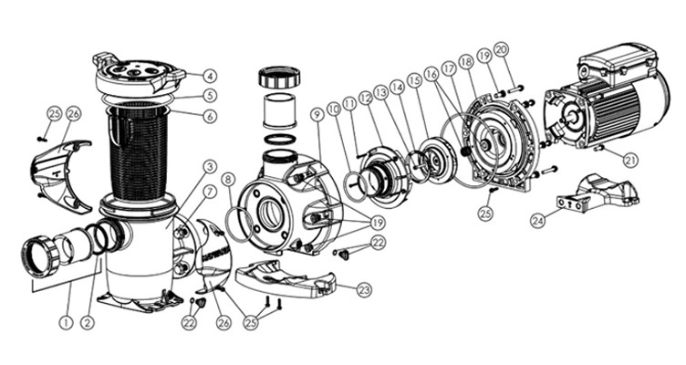 Hayward HCP 3000 2HP Single-Speed High Performance Commercial Pool Pump | 208-230V Single Phase | HCP30201 Parts Schematic