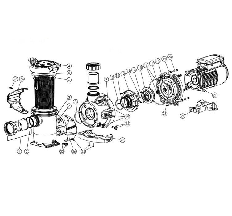 Hayward HCP 3000 7HP Single-Speed High Performance Commercial Pool Pump | 208-230/460V 3-Phase | HCP30703 Parts Schematic