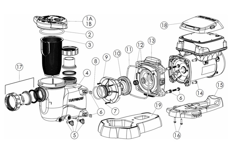 Hayward MaxFLo VS Variable Speed Pool Pump | 1.5HP 230V | W3SP2303VSP Parts Schematic