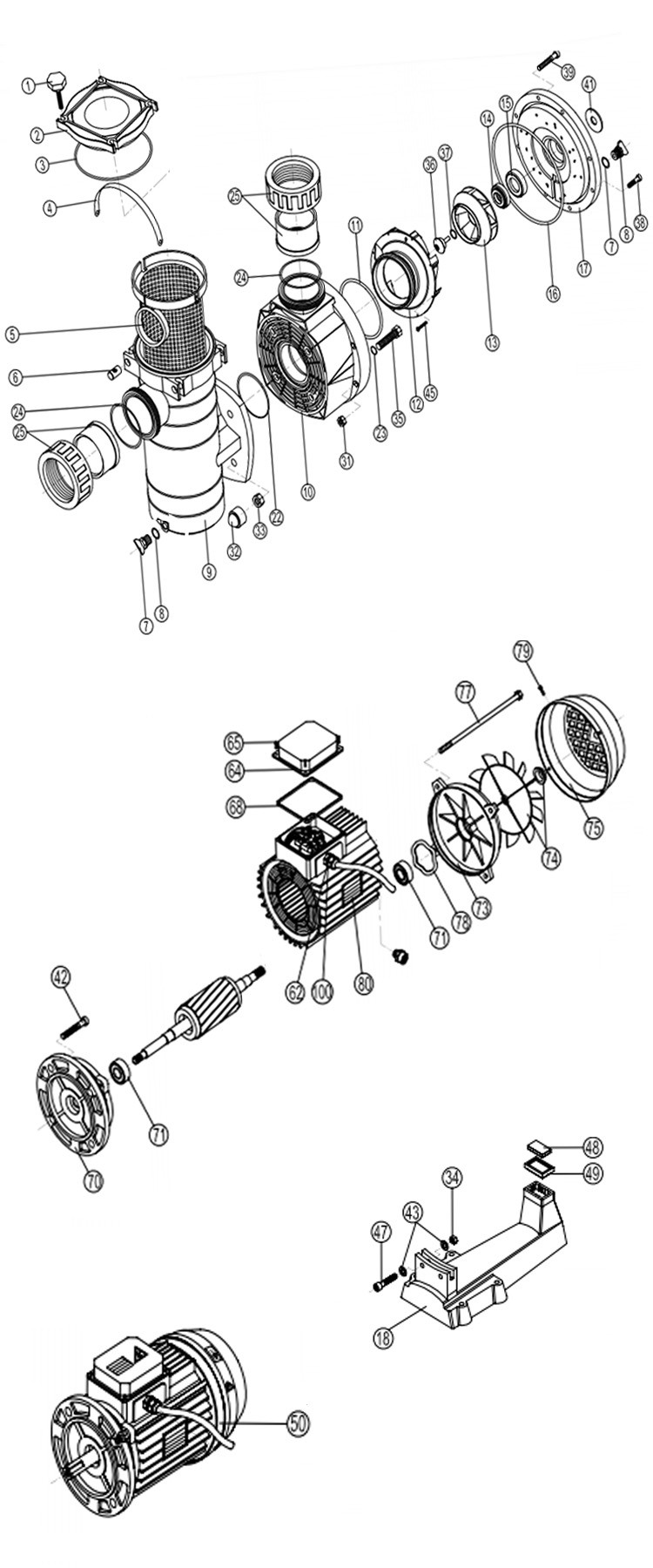 Hayward HCP 4000 Series Single-Speed Commercial Self-Priming Pool Pump | 10.0HP 230/460V Three Phase | HCP401003 Parts Schematic