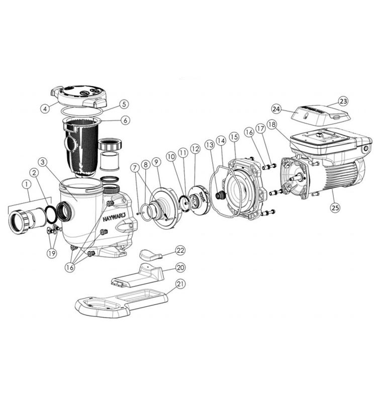 Hayward TriStar VS Variable Speed Pool Pump | 2.7HP 230V | W3SP3206VSP Parts Schematic