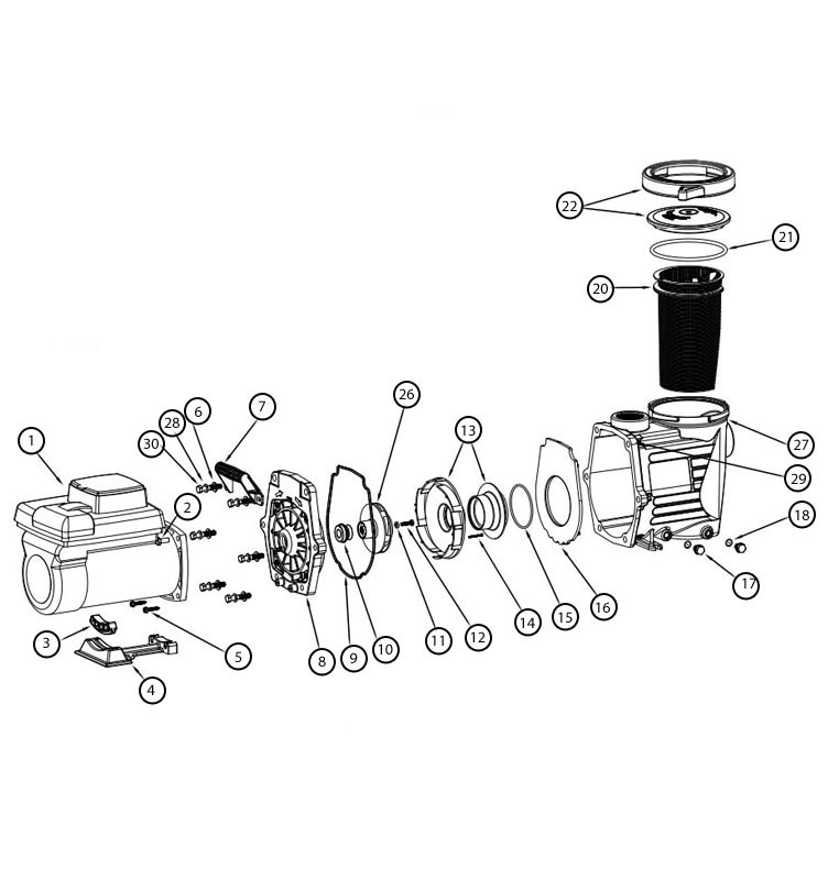 Waterway Power Defender 270 Dual Voltage Variable Speed Pump 2.70HP 115/230V | PD-VHL270 Parts Schematic