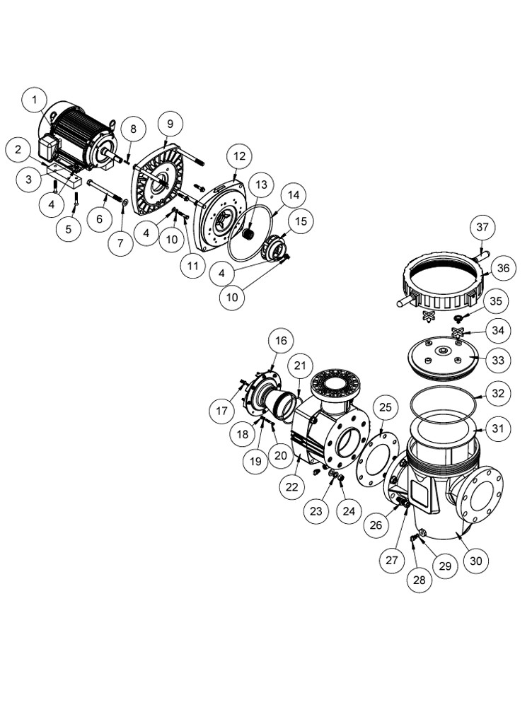 Waterco Hydrostar Plus 5HP Commercial High Performance Pump without Strainer | 3-Phase 208-230/460V | 2460501A Parts Schematic