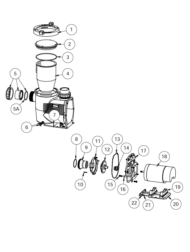 Waterco Hydrostar Eco V-165 1.65HP Variable Speed Pump | Energy-Efficient | 2404165A-VS Parts Schematic