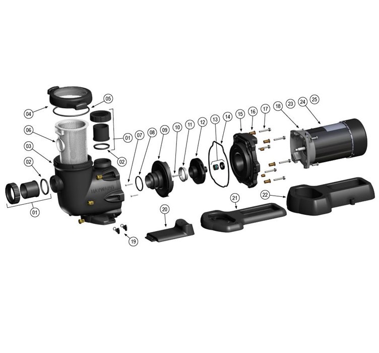 Hayward TriStar High Performance 2 Speed Pool Pump | 1HP Full Rated 230V | SP32102EE Parts Schematic