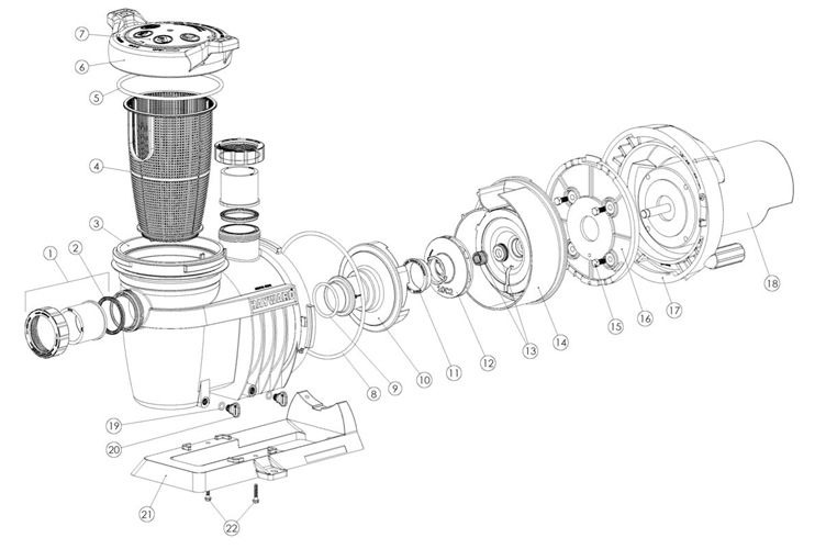 Hayward NorthStar High Performance Energy Effecient Pump | 1HP FR 115V/230V | SP4010NS Parts Schematic