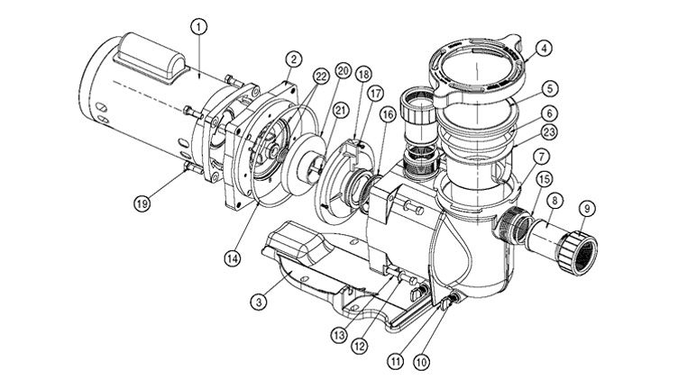 Pentair SuperFlo Energy Efficient  2 Speed Pool Pump | 230V 1HP | 340042 Parts Schematic