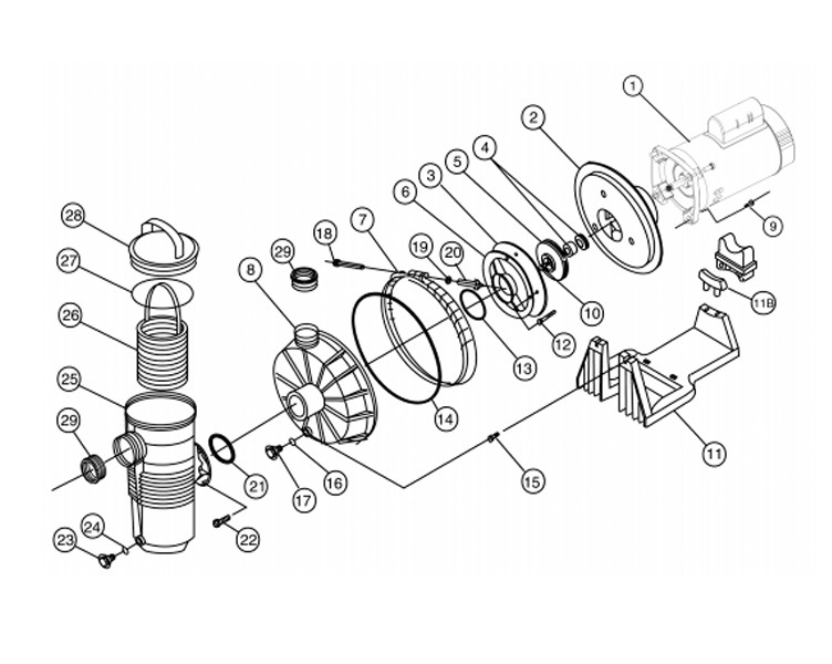 Pentair Challenger 1HP High Pressure Energy Efficient 3-Phase Pool Pump Full Rated 208V 230V 460V | 345284 Parts Schematic