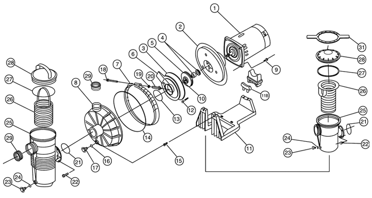 Pentair Challenger 1HP High Flow Pool Pump Full Rated 115V 230V | 342234 Parts Schematic