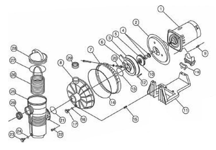 Pentair Challenger 2HP High Flow Pool Pump Full Rated  208V 230V | 342238 Parts Schematic