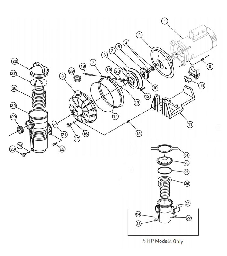 Pentair Challenger 2HP High Flow Pool Pump Up-Rated 115V 230V | 343240 Parts Schematic