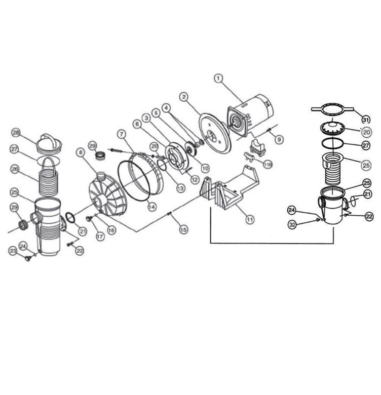 Pentair Waterfall Energy Efficient Pool Pump with Strainer | 115/230V AFP-75 | 340350 Parts Schematic