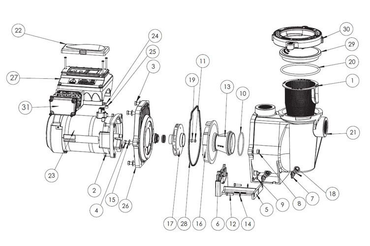 Sta-Rite IntelliPro 3HP Ultra Energy Efficient VS+SVRS Pool Pump 230V | P6E6XS4H-209L | 013002 Parts Schematic