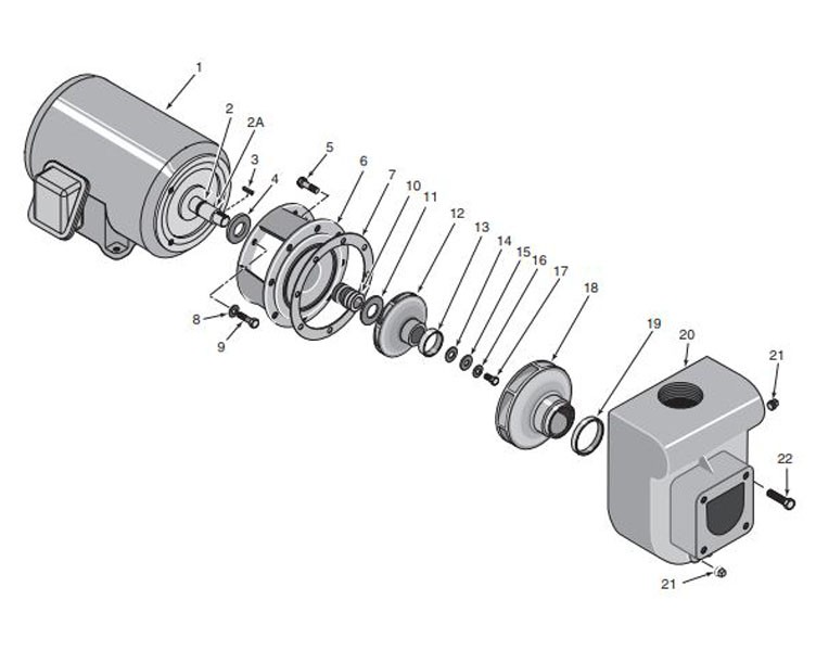 Sta-Rite D-Series 5HP Standard Efficiency Single Phase Commercial Pool Pump 230V | DMJ-172 Parts Schematic