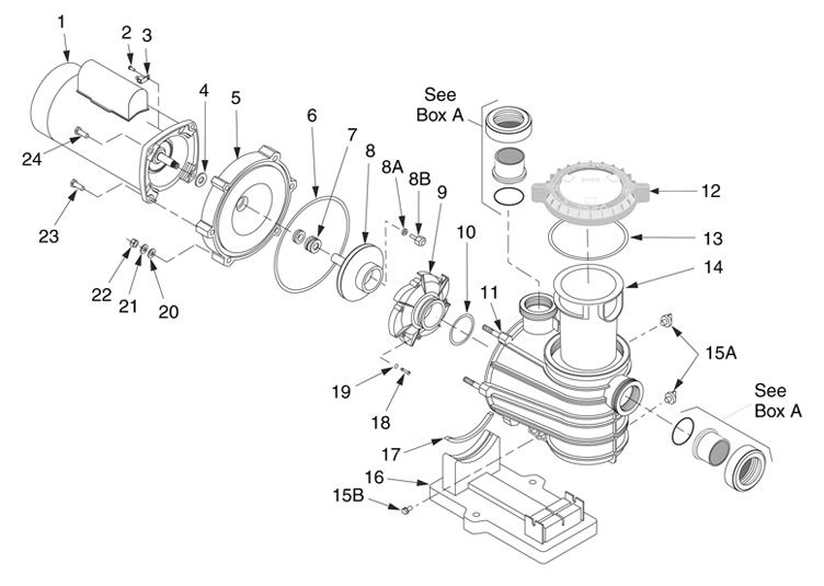 Sta-Rite Dyna-Pro E 1HP Energy Efficient Pool Pump Up Rated 115V 230V | MPEA6E-205L Parts Schematic