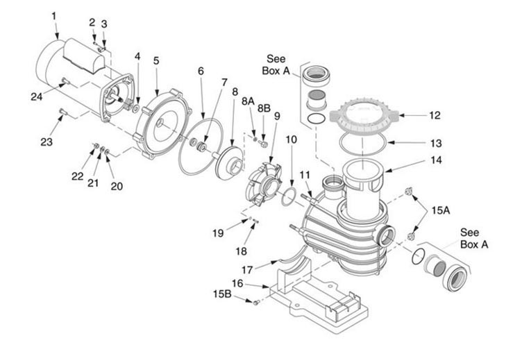 Sta-Rite Dyna-Pro E 1.5HP Standard Efficiency Pool Pump Up Rated 115V 230V | MPRA6F-206L Parts Schematic