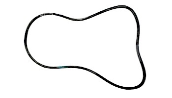 Pentair O-Ring | 24700-0072