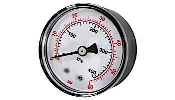 Pentair Sta-Rite 2" OEM Pressure Gauge 06-60 PSI Back Mount 1/4" NPT | 33600-0023T