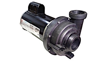TheraMax 2.5HP 230V Sundance/ Jacuzzi Pump Baseless | 6500-341