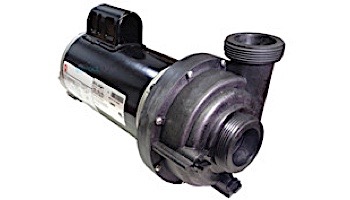 TheraMax 2.5HP 230V Sundance / Jacuzzi Pump Baseless | 6500-341