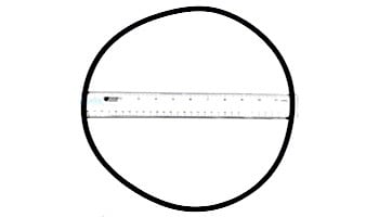 Zodiac Tank O-Ring | R0557900