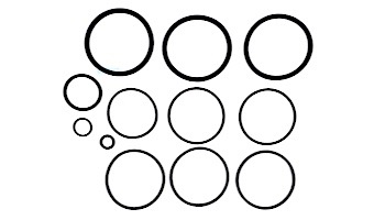 Zodiac Jandy O-Ring Replacement Kit | R0358000