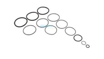 Zodiac Jandy O-Ring Replacement Kit | R0358000