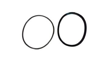 Jandy Lid Seal with O-Ring | R0449100