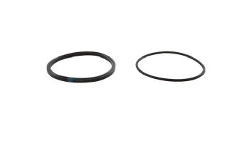 Jandy Lid Seal with O-Ring | R0449100