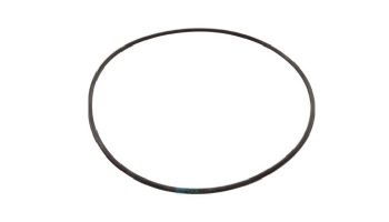 Jandy Backplate O-Ring | R0446300