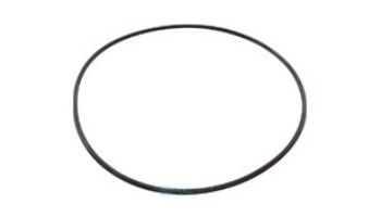 Jandy Backplate O-Ring | R0446300