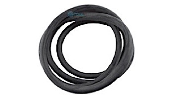 Zodiac Jandy Filter Tank O-Ring | R0357800