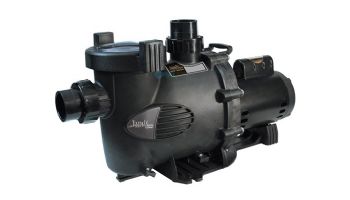 Jandy Water Feature  Medium Head Up-Rated Pool Pump | 80GPM 115V/230V | WFTR80