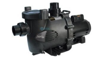 Jandy Water Feature Medium Head Up-Rated Pool Pump | 80GPM 115V/230V | WFTR80