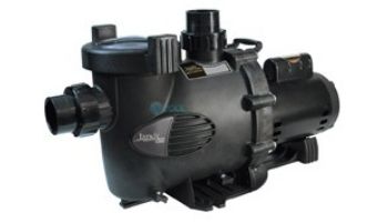 Jandy Water Feature Medium Head Up-Rated Pool Pump | 160GPM 230V | WFTR160