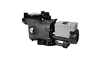 Jandy Pool Pumps: Variable & Two Speed Pumps