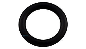 Waterway Drain Plug O-Ring | 805-0112