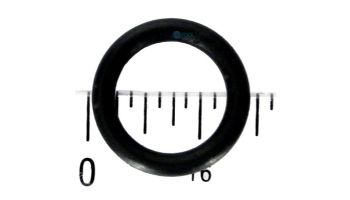 Waterway Drain Plug O-Ring | 805-0112