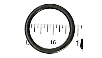 Waterway Plastics O-Ring - Pressure Gauge Adapter For ClearWater II | 805-0117SDB